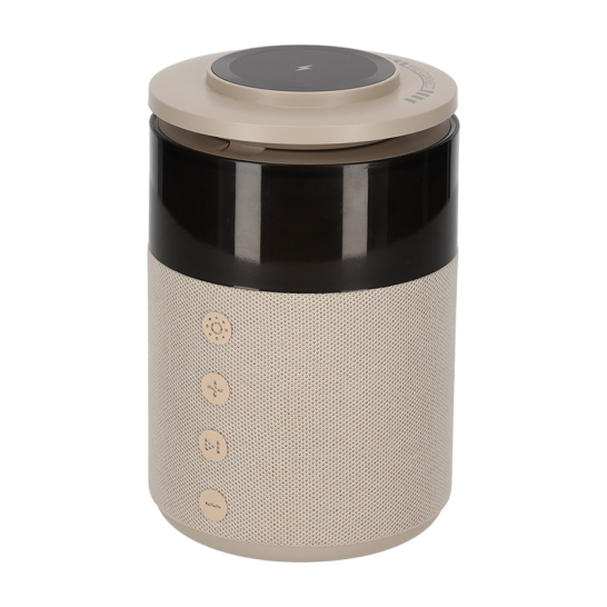 BRAINZ 5 in 1 Charging Speaker Taupe 38563