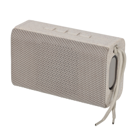 BRAINZ Speaker Kane Wheatstraw 38672