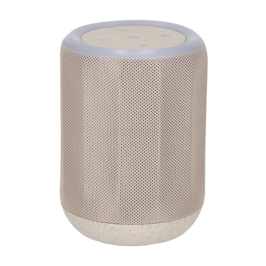 BRAINZ Speaker Zane Wheatstraw 38671