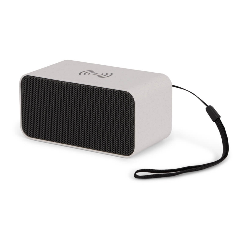 stapel Einde telex BRAINZ Bluetooth Speaker & Draadloze Oplader Tarwestro - Totaal Geschenk