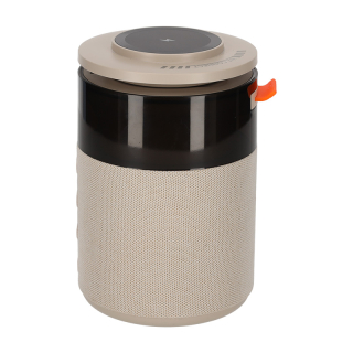 BRAINZ 5 in 1 Charging Speaker Taupe 38563 2