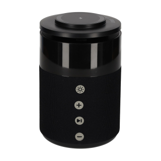 BRAINZ 5 in 1 Charging Speaker Zwart 38562 1