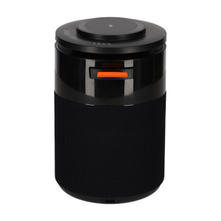 BRAINZ 5 in 1 Charging Speaker Zwart 38562 3