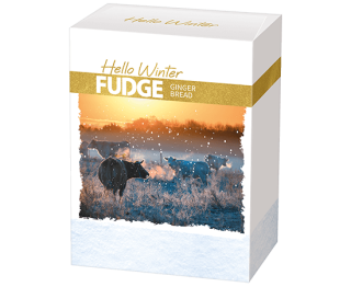 Hello Winter Fudge Speculaas 16908